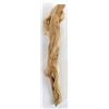 Image 9 : Indonesian Carved Chinaberry Wood Burl Lizard