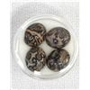 Image 1 : 4 Leopard Agate Cabochons