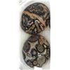 Image 2 : 4 Leopard Agate Cabochons