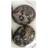 Image 3 : 4 Leopard Agate Cabochons