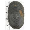 Image 8 : Prehistoric Native American Banded Slate Tomahawk