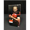 Image 1 : BC Lions Bobblehead #13 MIKE REILLY CFL