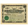 Image 1 : Buck Horn Gold Mining Co. 1896 I/U Stock Certificate, Cripple Creek District