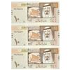 Image 1 : Group of 3 SAUDI ARABIA. P#33 2007 Ten Riyals