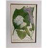 Image 2 : Silver Leaf Wood-Framed Antique Botanical Art Print 23" W x 28 7/8" H