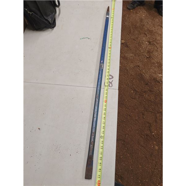 Large Blue Pike / Prybar