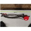 Image 1 : 1 Ton Hoist