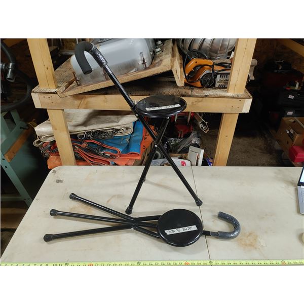 Pair of Seat Canes