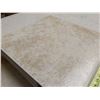 Image 5 : 11 13” Stone Age Beige Ceramic Tiles