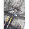 Image 2 : Landscaping Rakes