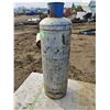 Image 5 : 100LB Propane Tank (Uncertified)