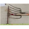 Image 2 : Rake + Fork