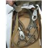 Image 2 : SAFETY BELTS