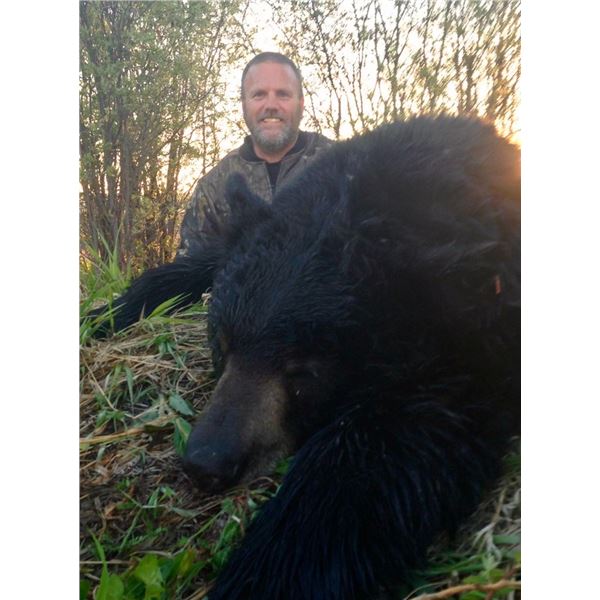 7 day Yukon Black Bear Hunt For 1 Hunter