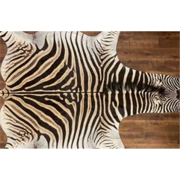 Buchell’s Zebra Rug