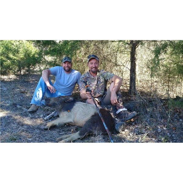 Oklahoma Hog Hunt for 1