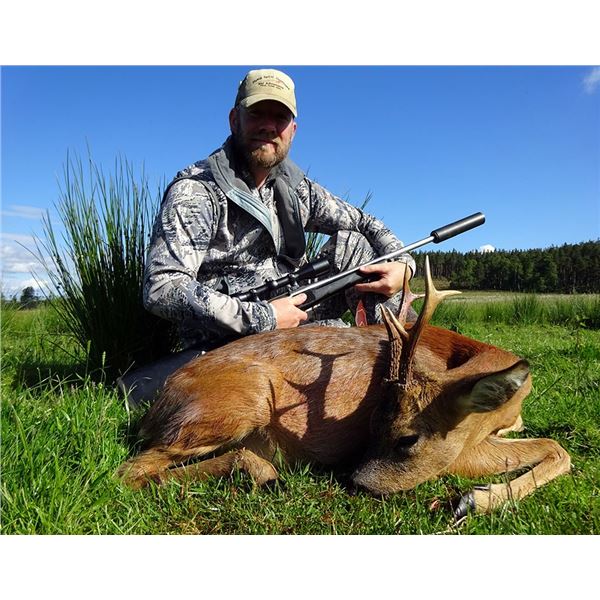 Scotland Roe Deer Hunt for 2 Trophies!