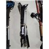 Image 1 : Black Diamond Trek Poles