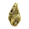 Image 1 : 57.40 Gram Yukon Gold Nugget
