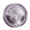 Image 2 : 2007-W $1 Burnished American Silver Eagle Coin