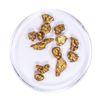 Image 1 : Lot of Gold Nuggets 5.2 grams Total Weight