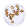 Image 2 : Lot of Gold Nuggets 5.2 grams Total Weight