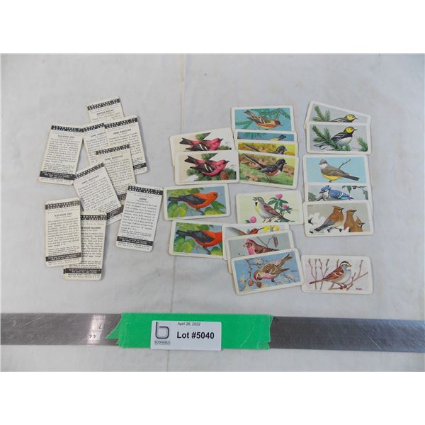 (28) Red Rose tea cards - Songbirds of North America series