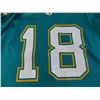 Image 2 : CFL - 1993 Sacramento Gold Miners Jersey - size medium