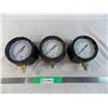 Image 1 : (3) Process P5083 pressure gauges 0-60psi