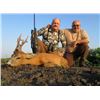 Image 2 : ROE DEER IN SERBIA FOR 2 - $6,600 / EXHIBITOR