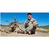 Image 2 : MEXICAN COUES DEER FOR 2 - $11,800