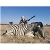 Image 3 : AFRICAN BUSHVELD SAFARI: 2 HUNTERS, 7-DAYS FOR IMPALA AND ZEBRA - $9,300 / EXHIBITOR