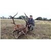 Image 4 : ARGENTINA RED STAG FOR 1 HUNTER- $7,000