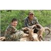 Image 2 : 2 DAY TEXAS FREE RANGE AOUDAD AND UNLIMTED HOGS FOR 1 - $4,500