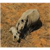 Image 1 : 5 DAY RHINO VITA DART HUNT FOR 1 HUNTER - $8,500 / EXHIBITOR