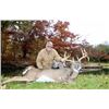 Image 3 : FIVE STAR OHIO WHITETAIL HUNT FOR TWO HUNTERS - $4,800
