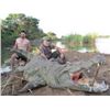Image 2 : 7 DAY NILE CROCODILE SAFARI OR SABLE - $10,000 / EXHIBITOR