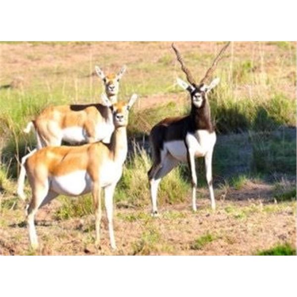 CATENA SAFARIS ARGENTINA FOR 2 - 11,900