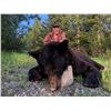 Image 3 : BRITISH COLUMBIA SPRING BLACK BEAR FOR 2 HUNTERS - $5,000 / EXHIBITOR