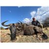 Image 4 : SOUTH AFRICAN CAPE BUFFALO - 2 HUNTERS & 2 OBSERVERS - $34,800.00
