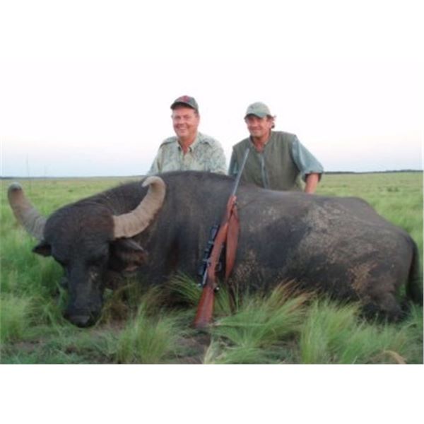 ARGENTINA FREE RANGE BUFFALO - $7,000