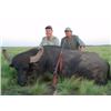 Image 1 : ARGENTINA FREE RANGE BUFFALO - $7,000
