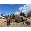 Image 1 : SOUTH AFRICA WILDEBEEST SLAM - 2 HUNTERS & 2 OBSERVERS - $18,700