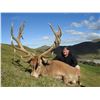 Image 1 : NEW ZEALAND RED STAG HUNT - $7,200 / EXHIBITOR