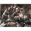 Image 4 : 5-DAY ARIZONA COUES WHITETAIL AND MOUNTAIN LION FOR 2 HUNTERS - $16,000