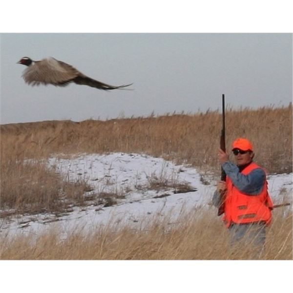 SOUTH DAKOTA PHEASANT HUNT - $4,500