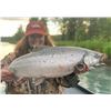 Image 3 : ALASKA FISHING ADVENTURE FOR 2 - $7,250