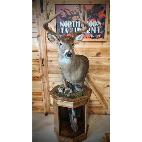 TAXIDERMY CREDIT - $2,500 / EXHIBITOR