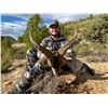 Image 1 : 2 MANAGEMENT BECEITE IBEX UP TO 50" FOR UP TO 2 HUNTERS - $10,500