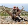 Image 2 : 2 MANAGEMENT BECEITE IBEX UP TO 50" FOR UP TO 2 HUNTERS - $10,500